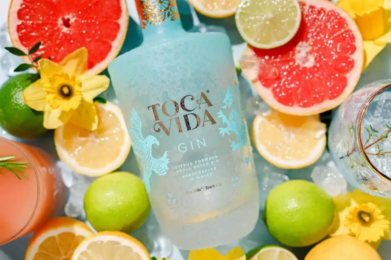 Toca Vida Gin Touching Life Through Spirit and Story