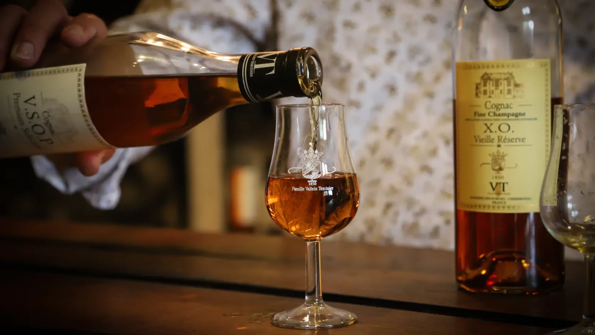 The Phylloxera Plague of 1875- When 85 Percent of Cognac Vineyards Were Destroyed