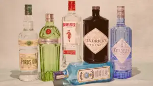 Best Gin and Its Evolution From Medicinal Spirit to Global Icon