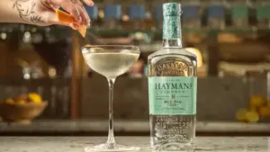 Best Gin for Martini Explained Through Balance, Tradition, and Technique
