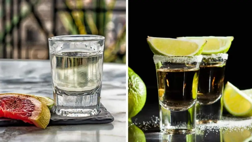 Mezcal vs Tequila