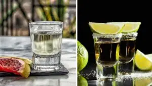 Mezcal vs Tequila