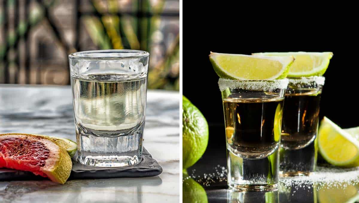 Mezcal vs Tequila