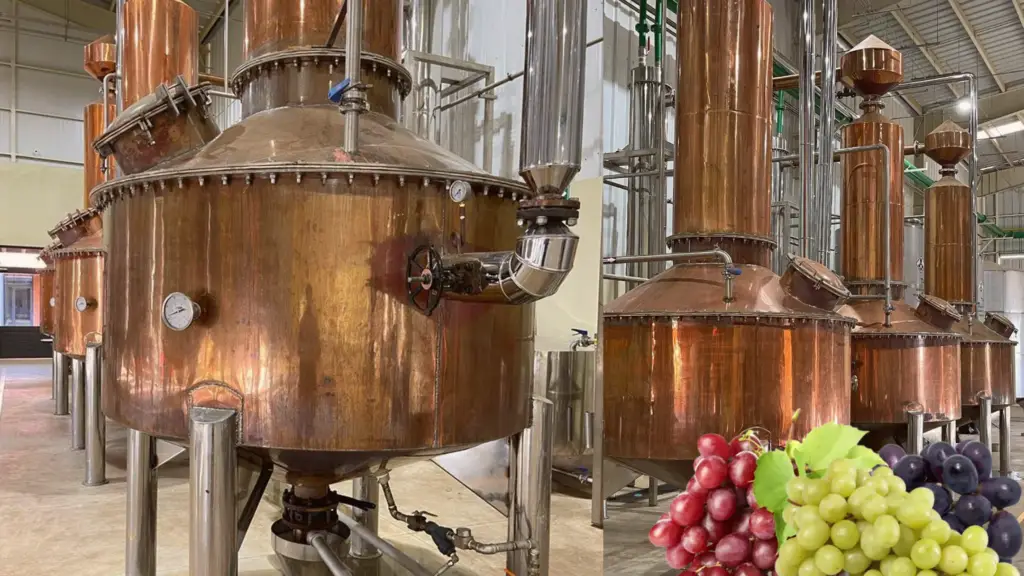 Three Grape Spirit Distilleries