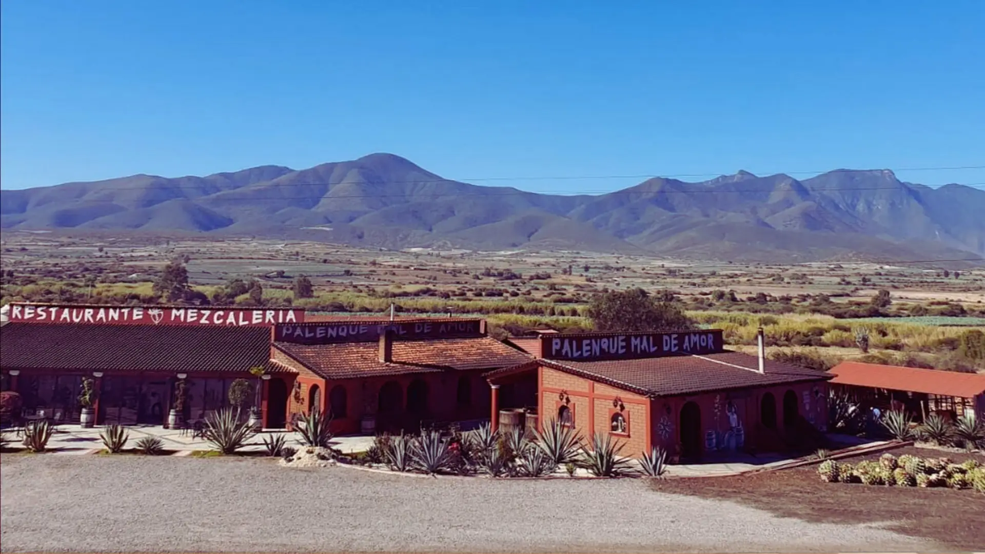 Drinking Through Oaxaca Mezcal Palenques and Urban Bars