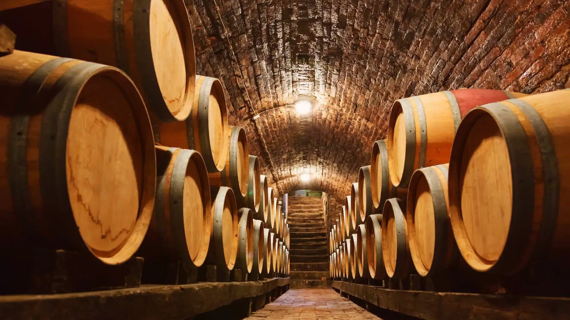 French Oak Vs American Oak in Rémy Martin Barrel Maturation