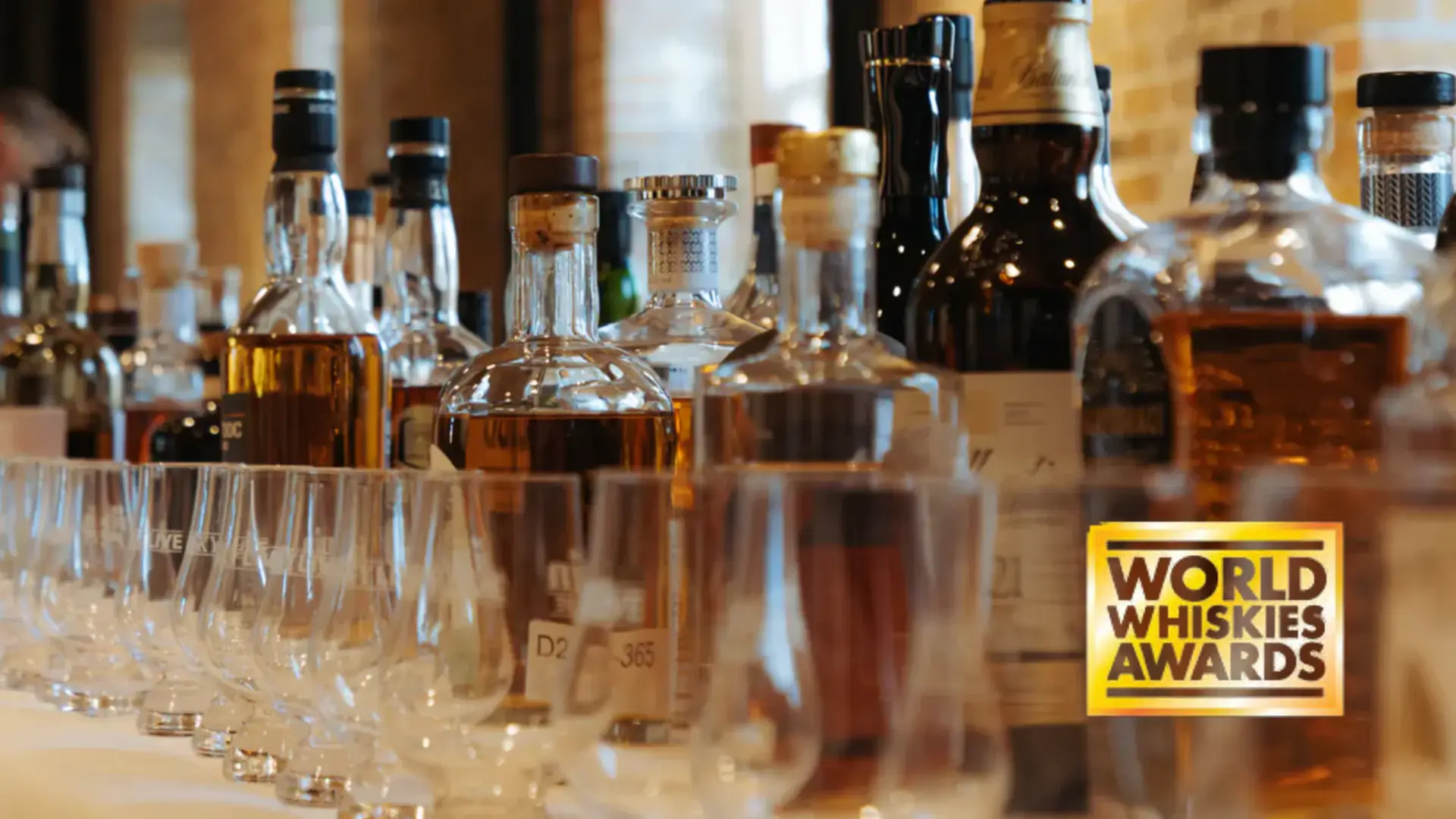 Award Winners 2026 and What They Reveal About Spirits