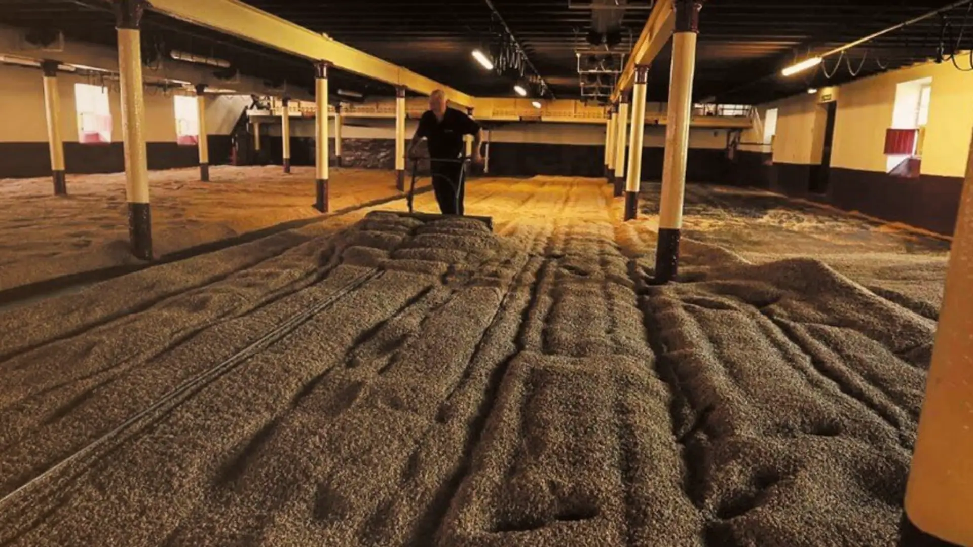 Floor Maltings to Bottling of Springbank Distillery Whisky Production
