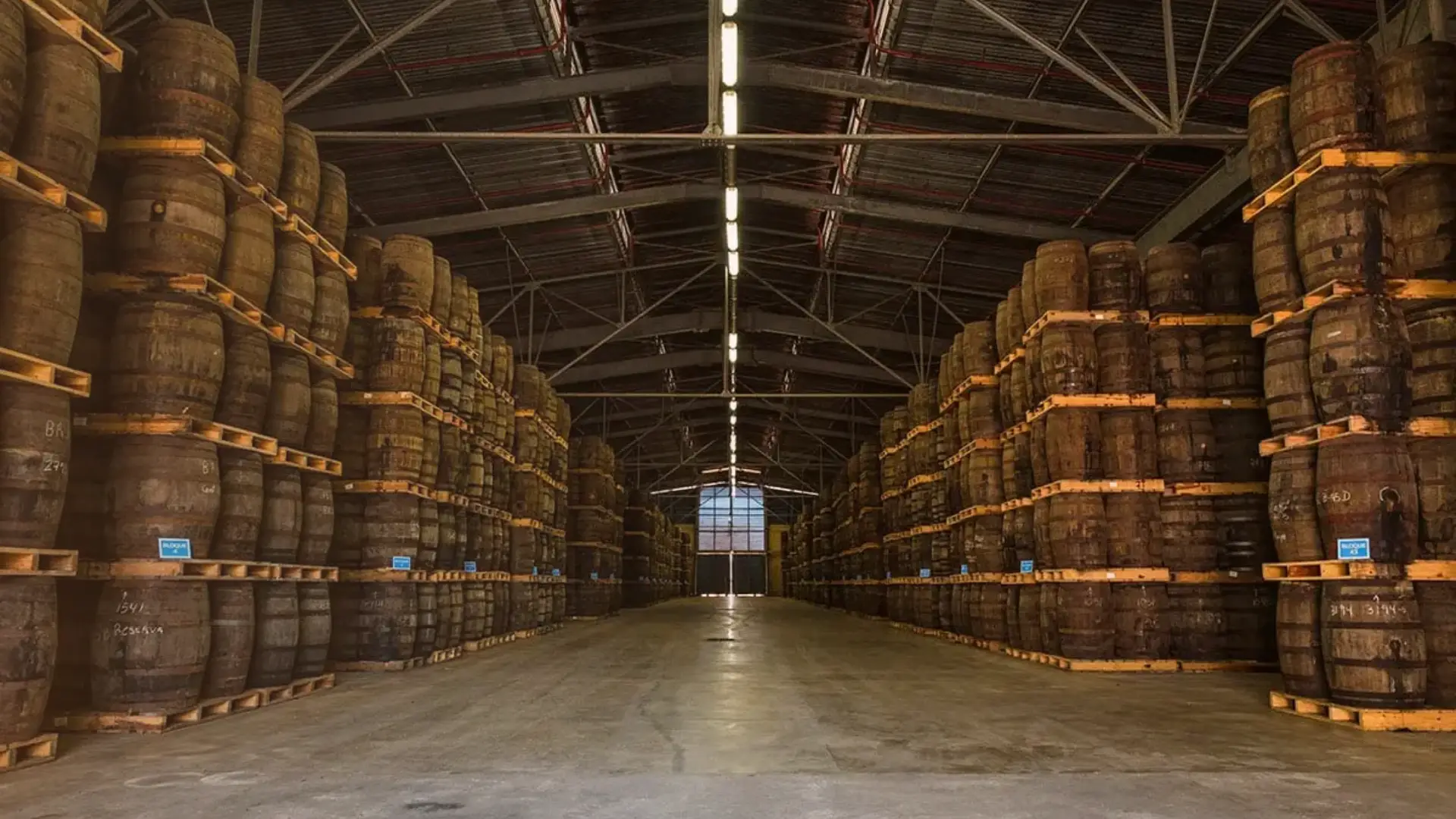 Havana Club and Bacardí- The Rum Rivalry Shaped by Revolution